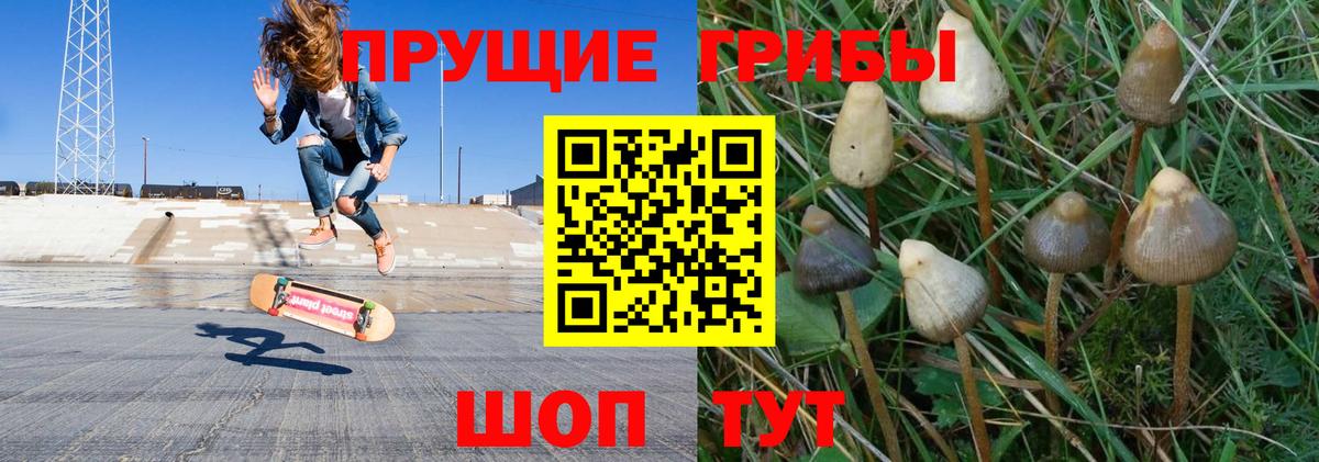 где можно купить наркотик  Галлюциногенные грибы мухоморы  Вход с VPN  Партизанск 